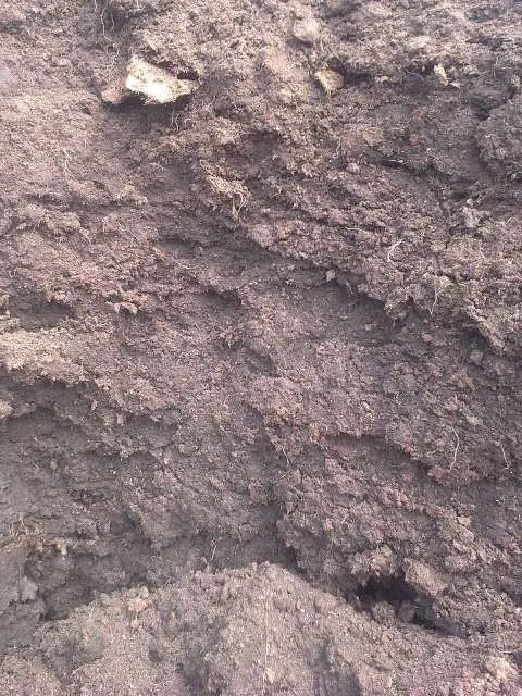 B 2 Top Soil